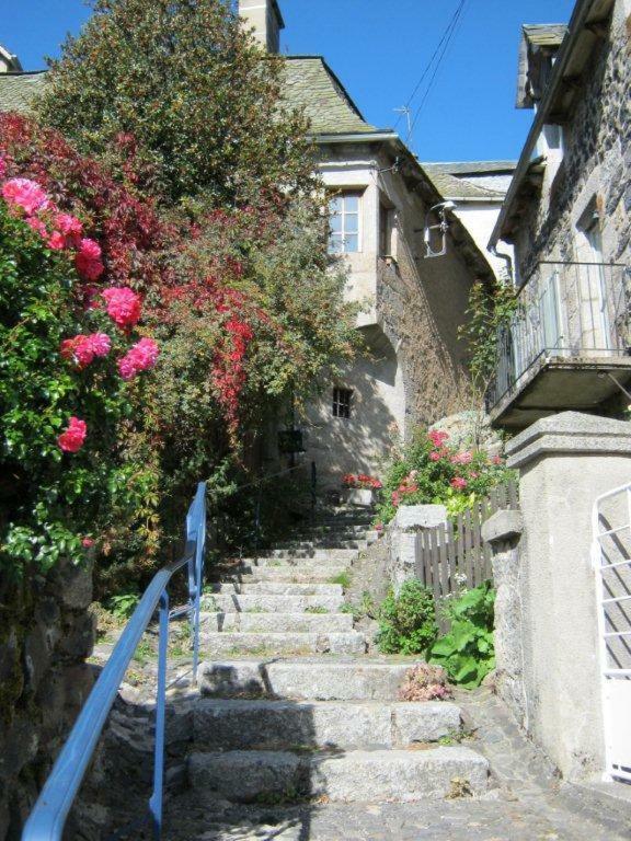 La Cure Grande Maison De Charme De 2 A 14 Personnes Saint-Urcize Exterior photo